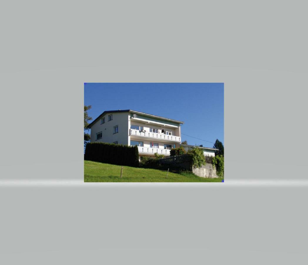 Haus Homann Apartment Sulzberg  Ngoại thất bức ảnh